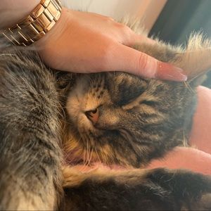 Meet your Posher, Vic